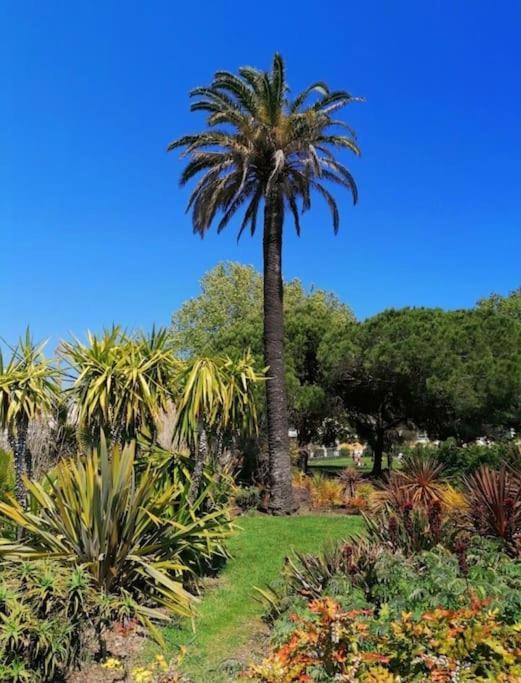 Charmant Studio Renove A Antibes, Plage A 10 Min A Pied Extérieur photo